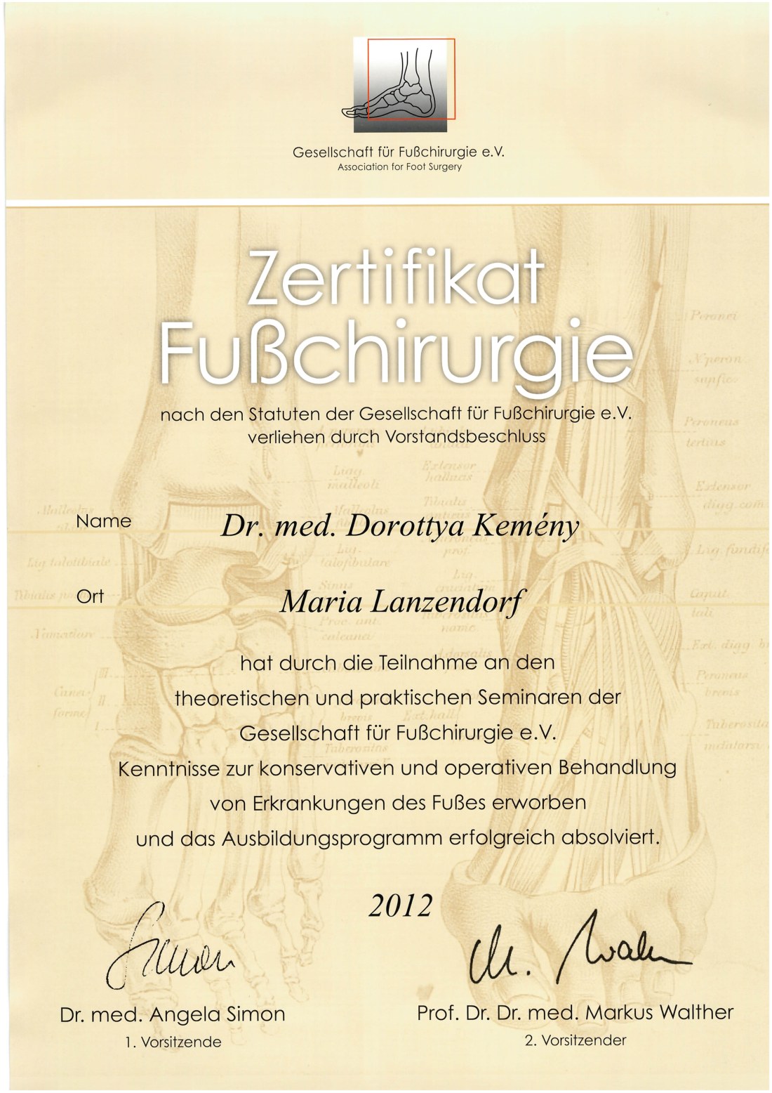 Zertifikat Fußchirurgie der Gesellschaft für Fußchirurgie e.V. für OÄ Dr. Dorottya Kemeny